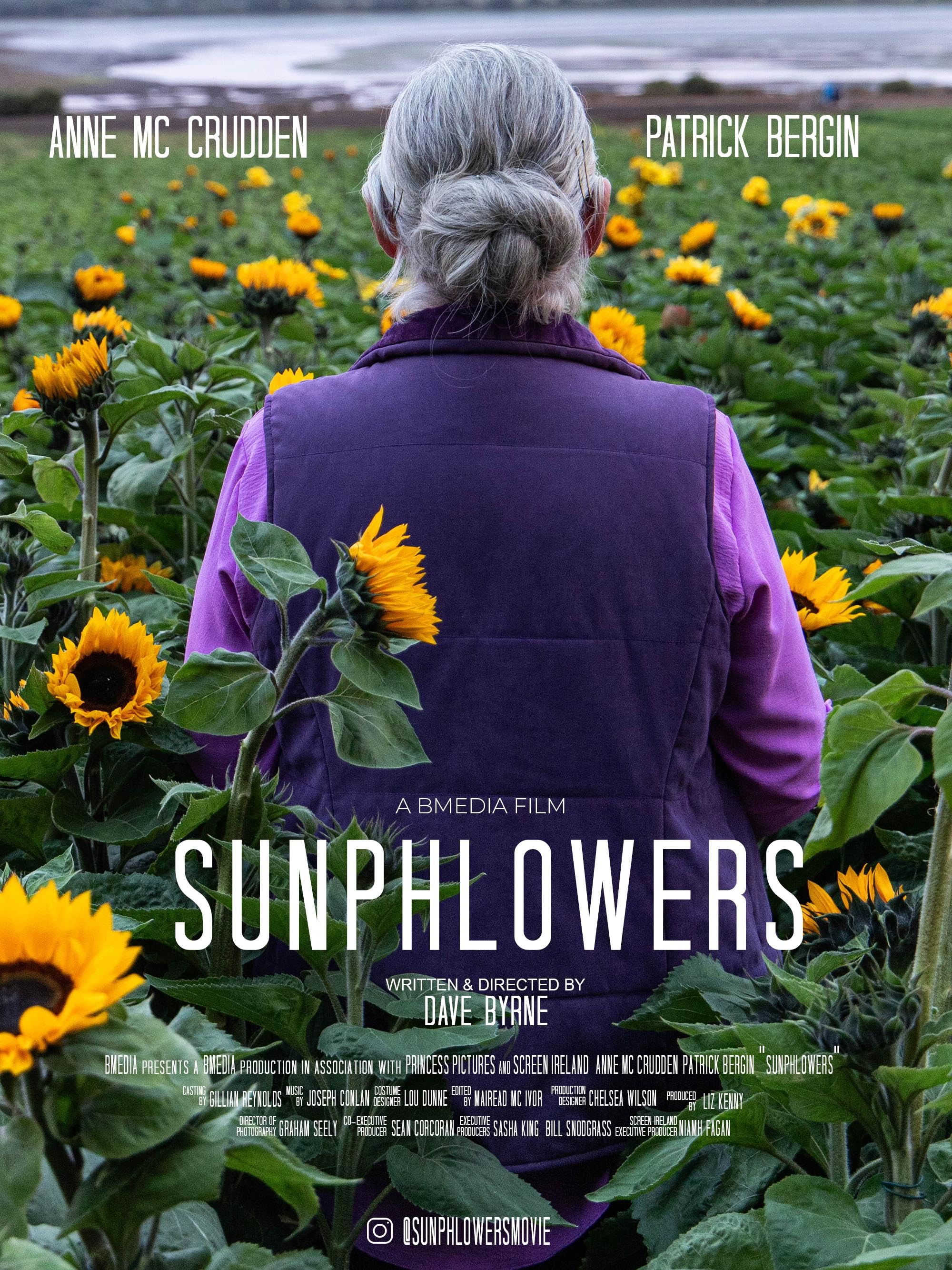 Sunphlowers